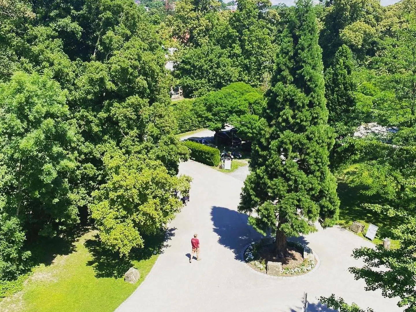 Europahaus Wien Avusturya